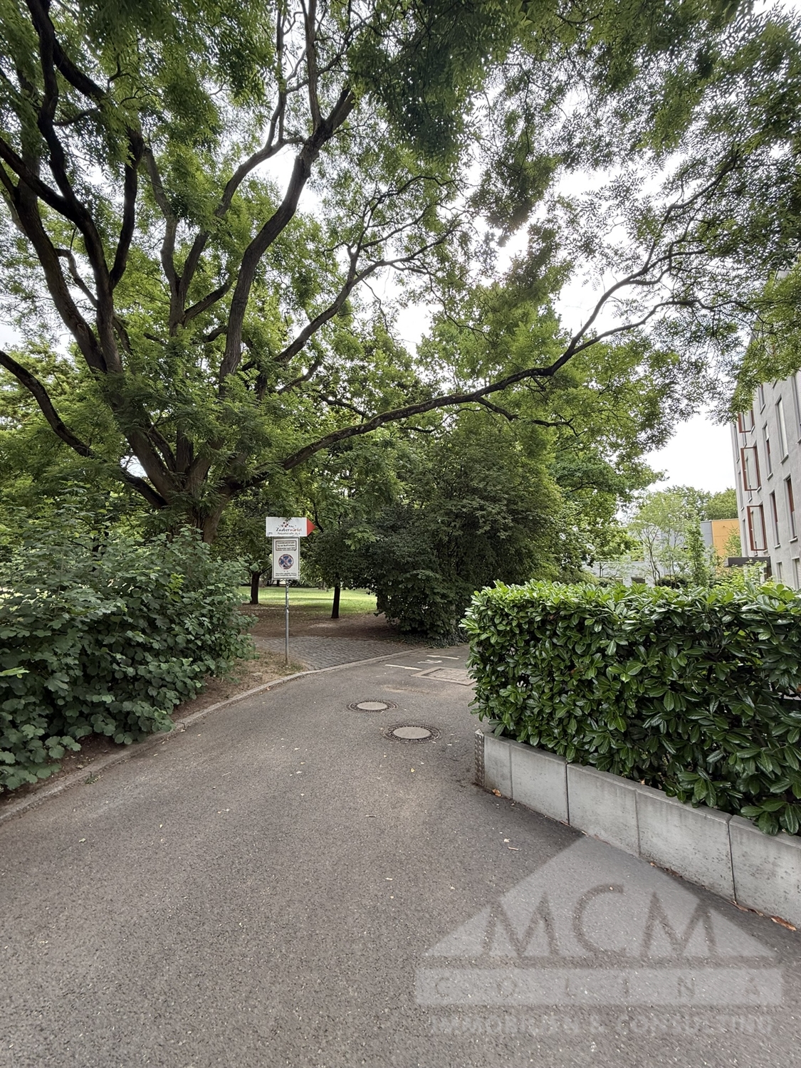Weg zum Park