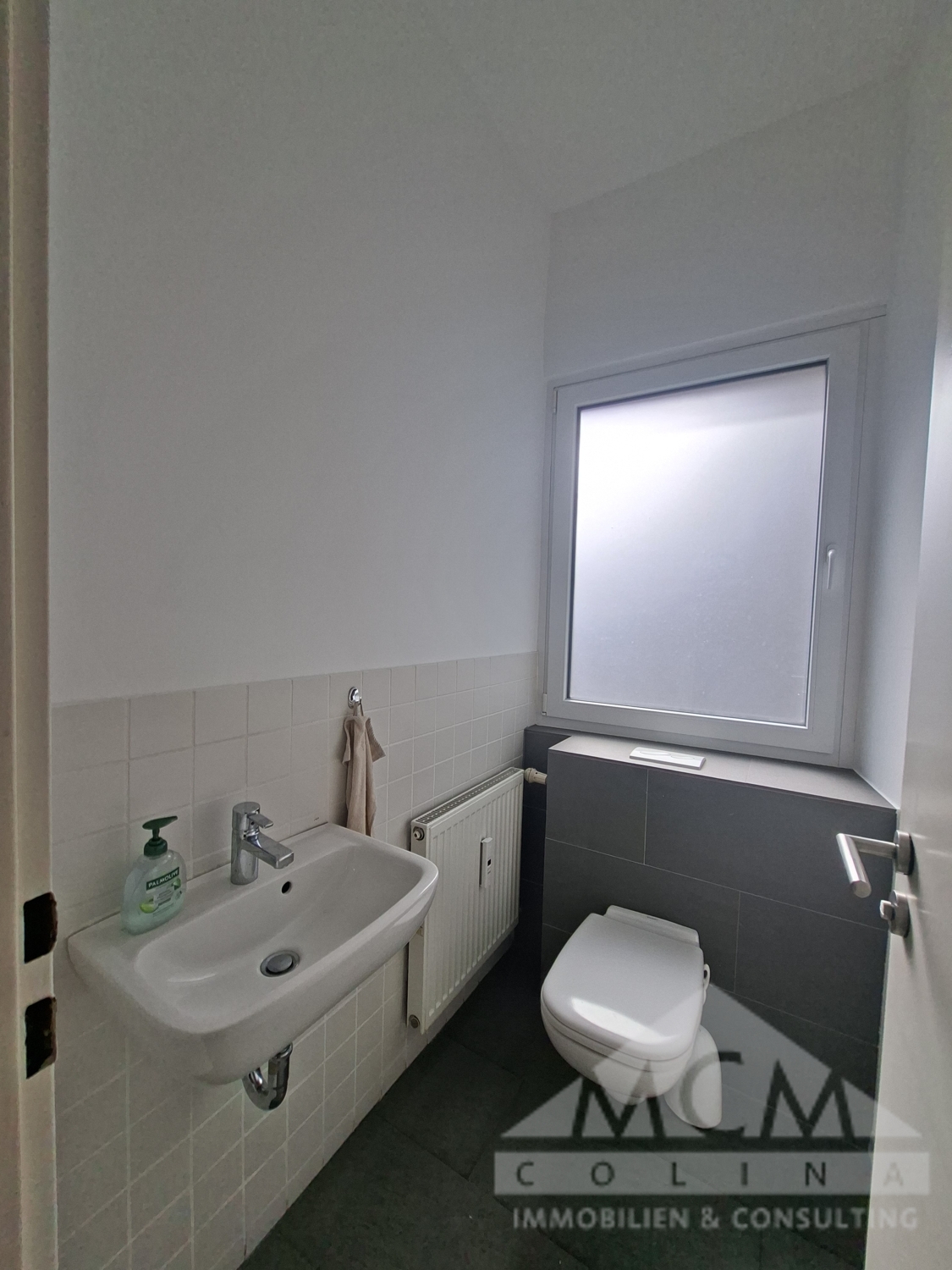 Sanitäranalge